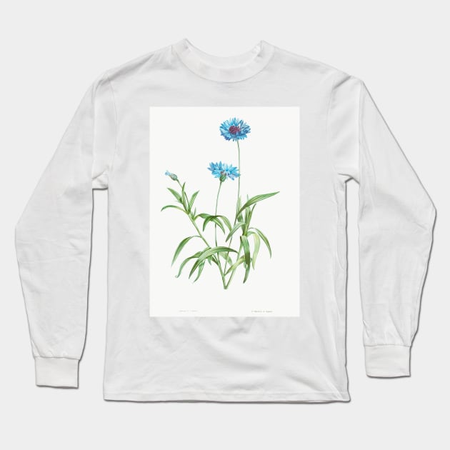 Cornflower - Botanical Illustration Long Sleeve T-Shirt by chimakingthings